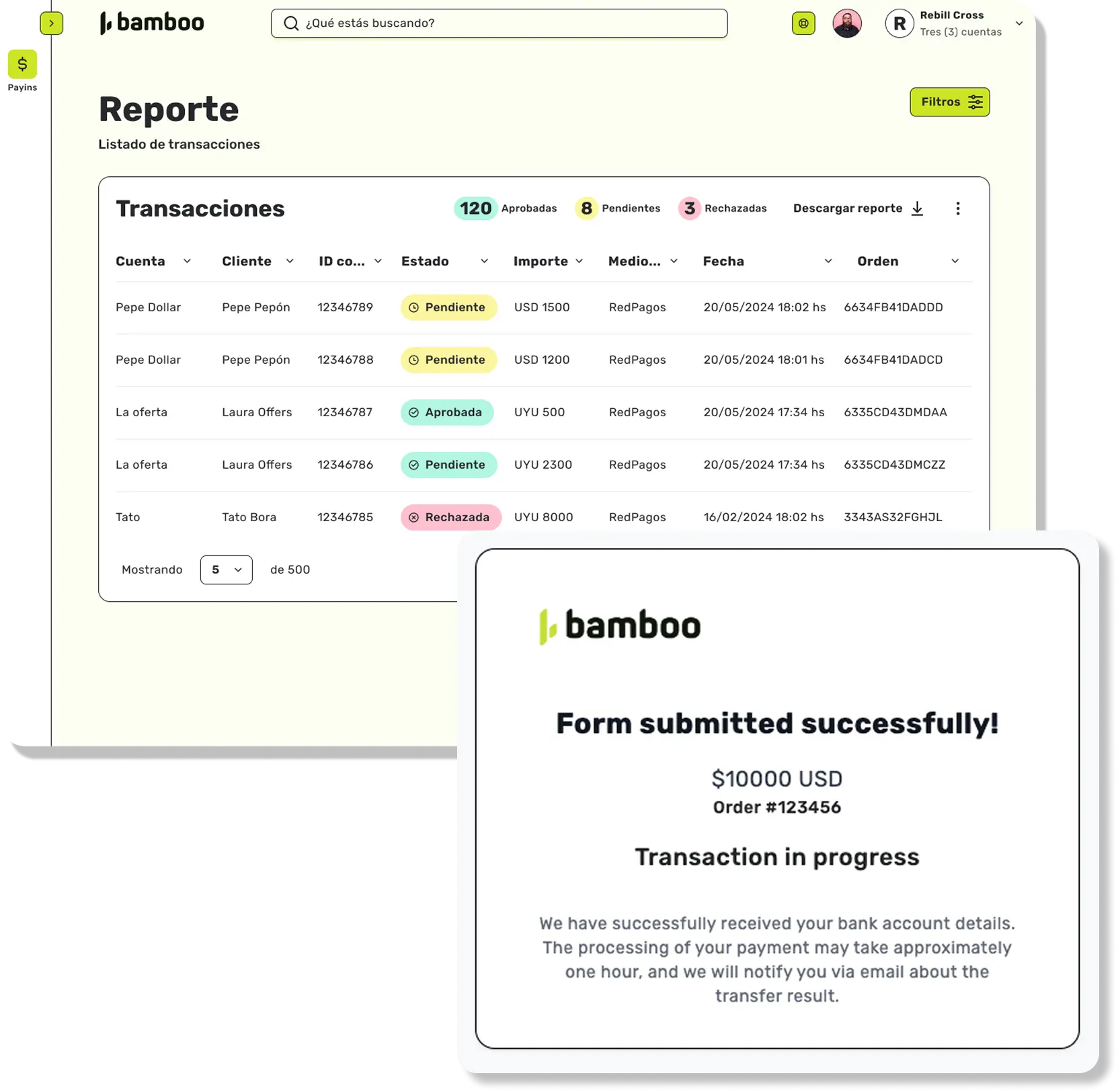 Bamboo Cross-Border Payment Solutions