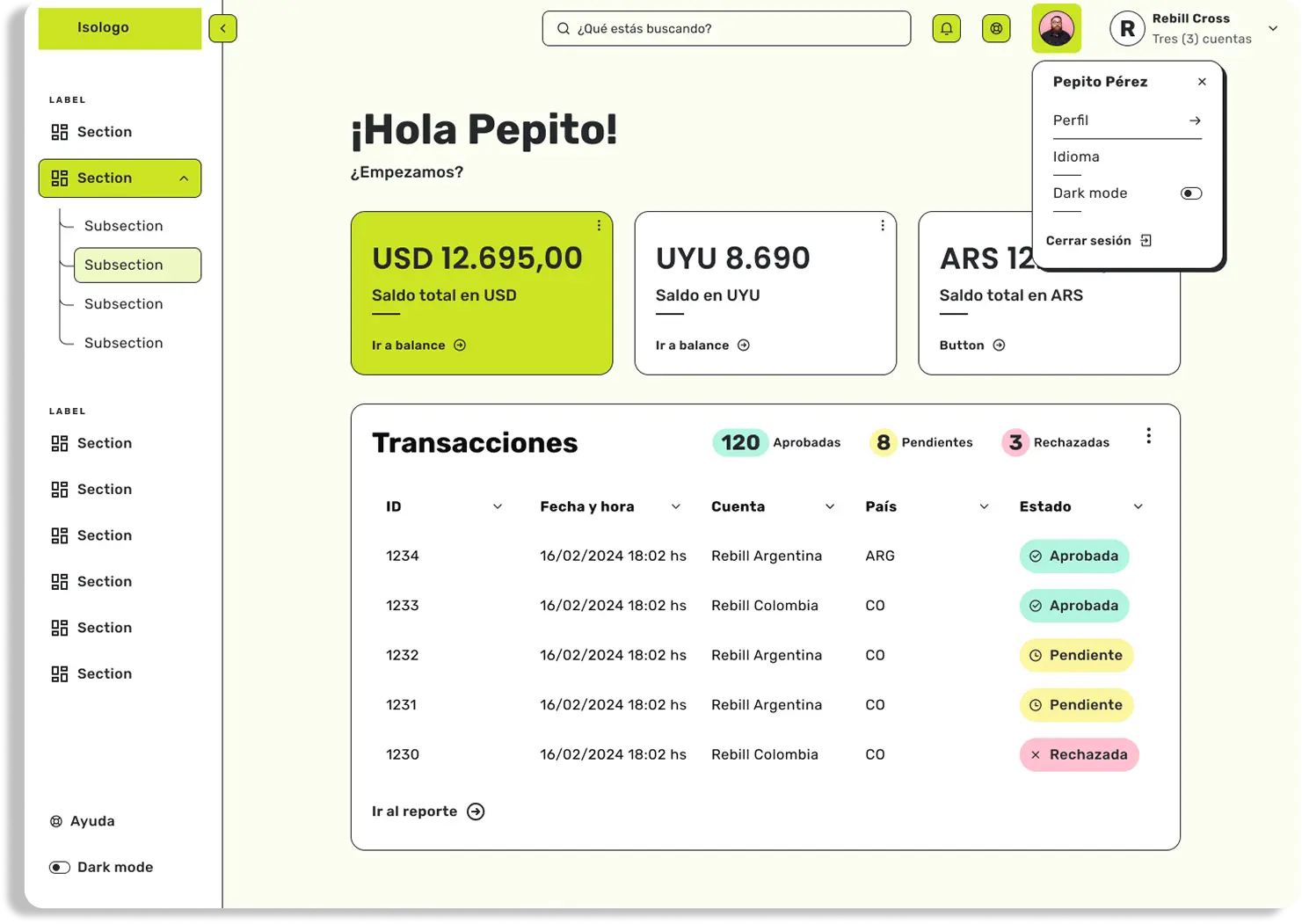 Bamboo Cross-Border Payment Solutions dashboard