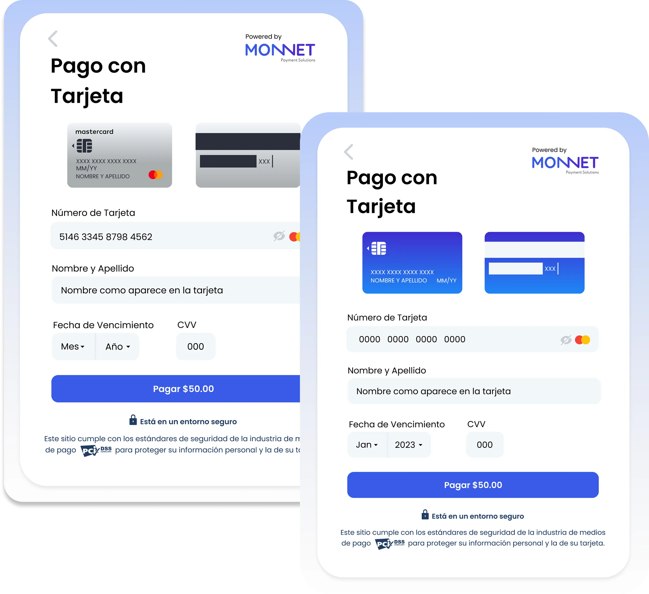 Monnet multi-platform payment processor