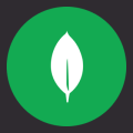 MongoDB